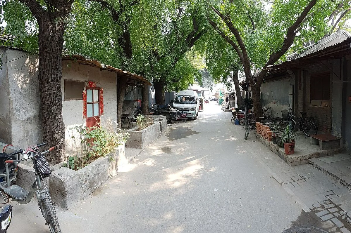 Ngõ hutong rợp cây ở khu Nam La Cổ Hạng.