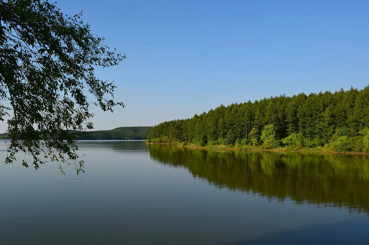 Water and a wooded shoreline at Jingyuetan.