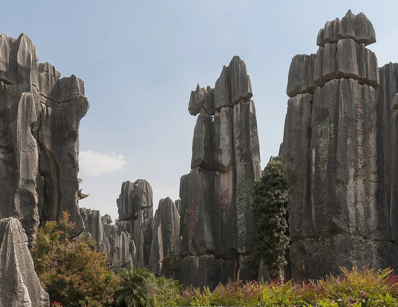 Tall, separated limestone columns in Shilin Stone Forest.